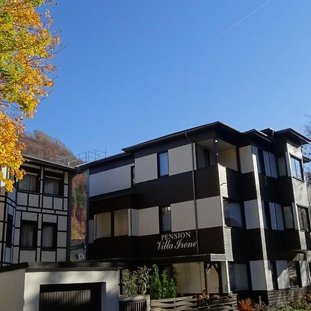 Pension Villa Irene Bad Harzburg Ngoại thất bức ảnh