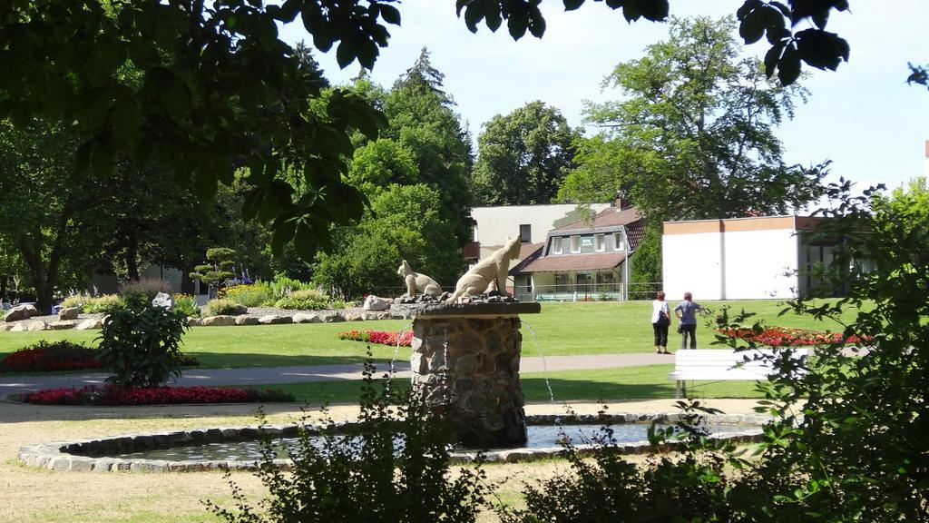 Pension Villa Irene Bad Harzburg Ngoại thất bức ảnh